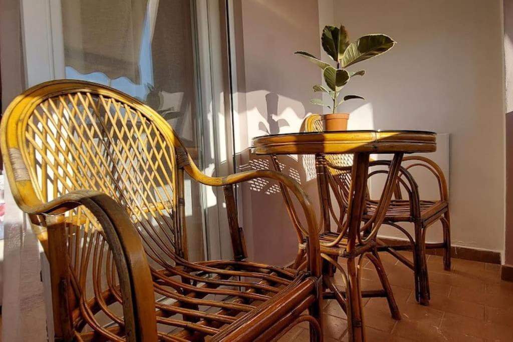 Cozy Sunlit Apartment With Scenic Balcony View Тирана Экстерьер фото